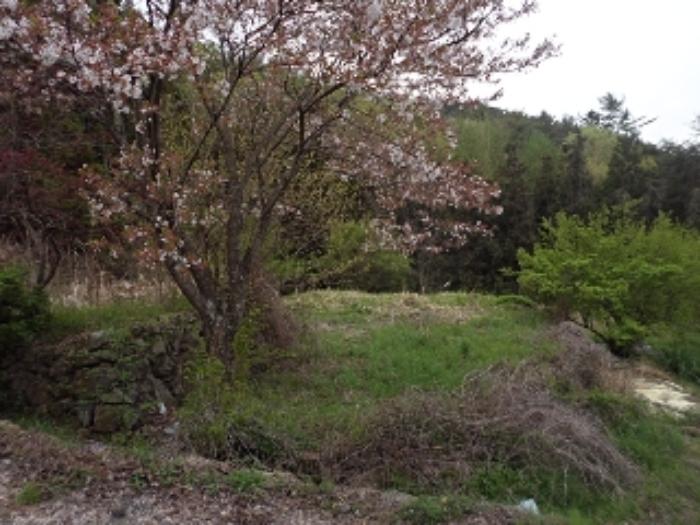 경상남도 밀양시 단장면 무릉리 4 답 경매 사진 13
