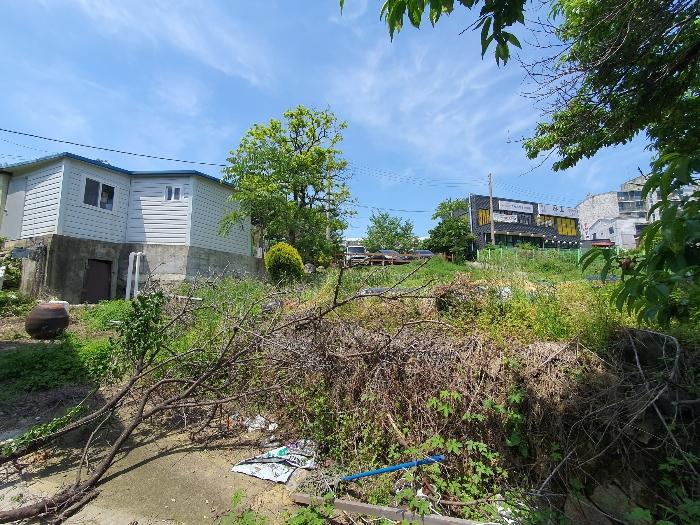 경상남도 창원시 진해구 풍호동 195 상가 경매 사진 9