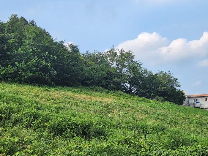 경상남도 양산시 주남동 925-50 임야 경매 사진 5