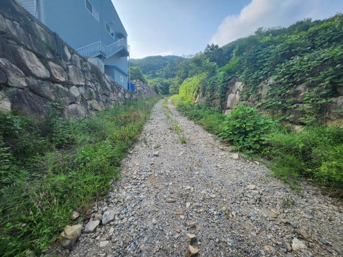 경상남도 양산시 주남동 925-50 임야 경매 사진 7
