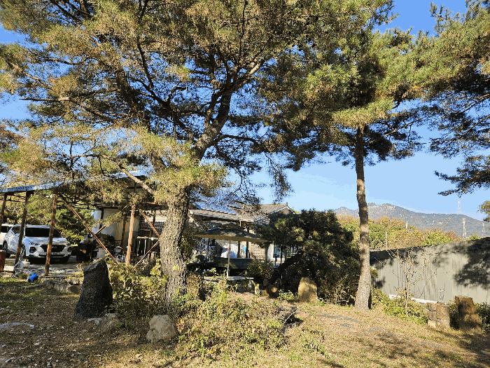 경기도 양주시 어둔동 383-6 답 경매 사진 7