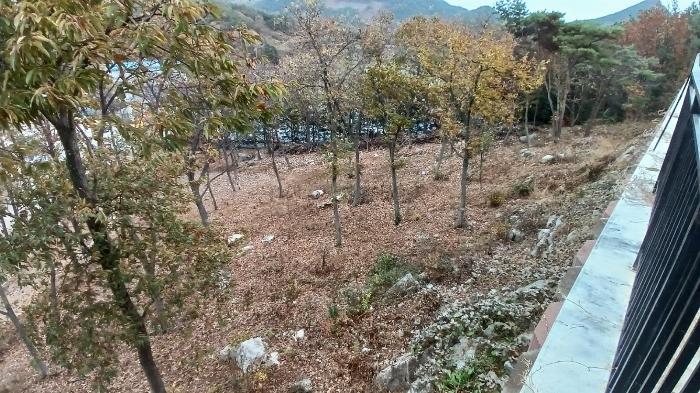 전북특별자치도 순창군 인계면 갑동리 986-14 병원 경매 사진 34