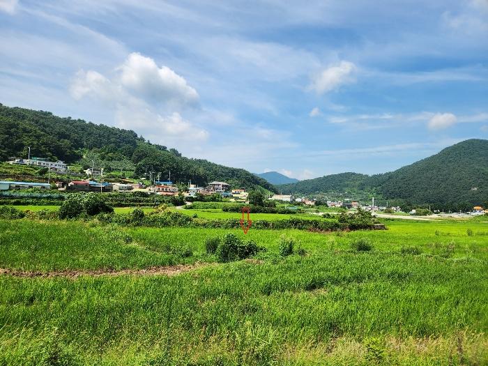 경상남도 남해군 삼동면 동천리 940 답 경매 사진 2