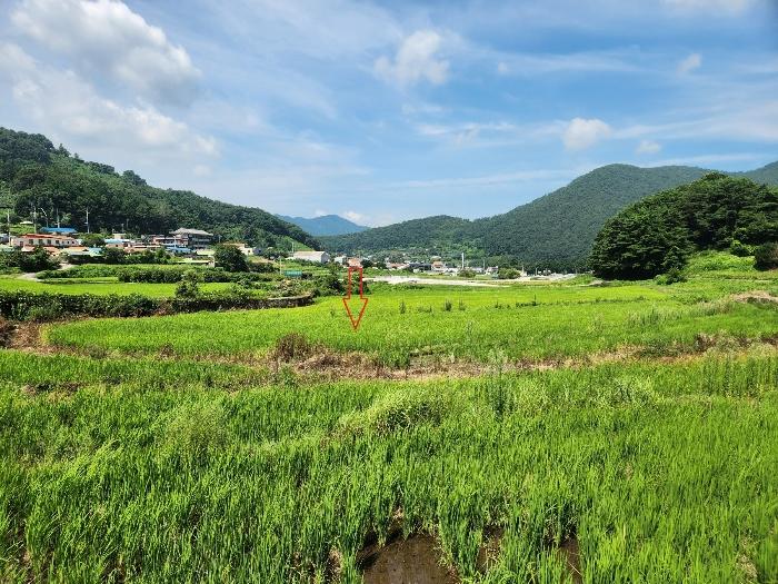 경상남도 남해군 삼동면 동천리 940 답 경매 사진 3
