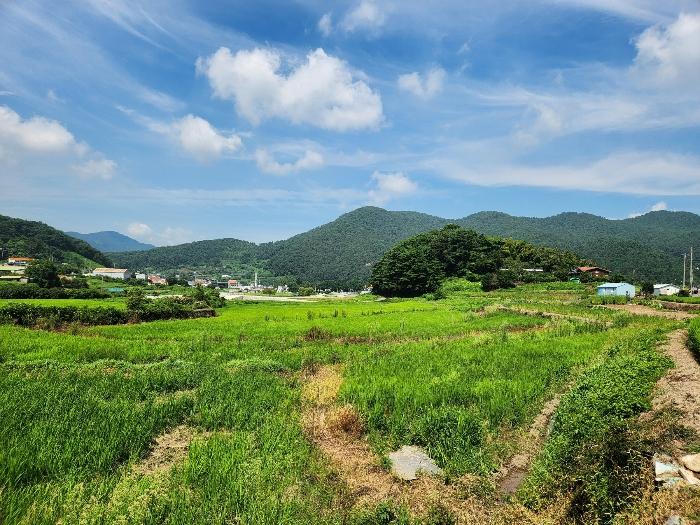경상남도 남해군 삼동면 동천리 940 답 경매 사진 4
