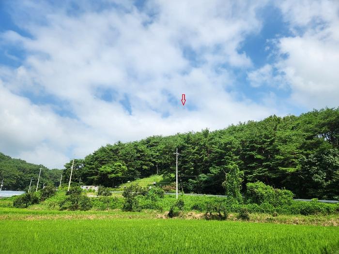 경상남도 하동군 옥종면 대곡리 614-6 전 경매 사진 7