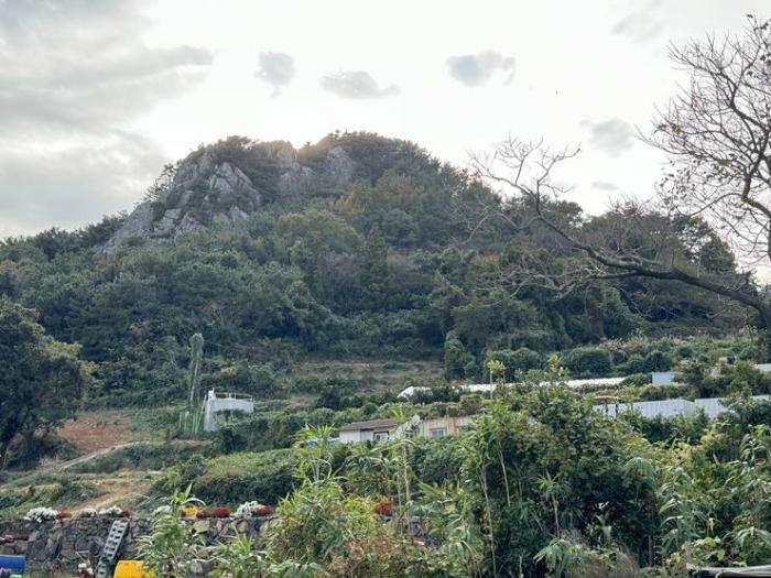 경상남도 통영시 욕지면 동항리 산104-22 임야 경매 사진 1