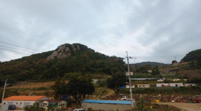 경상남도 통영시 욕지면 동항리 산104-22 임야 경매 사진 5
