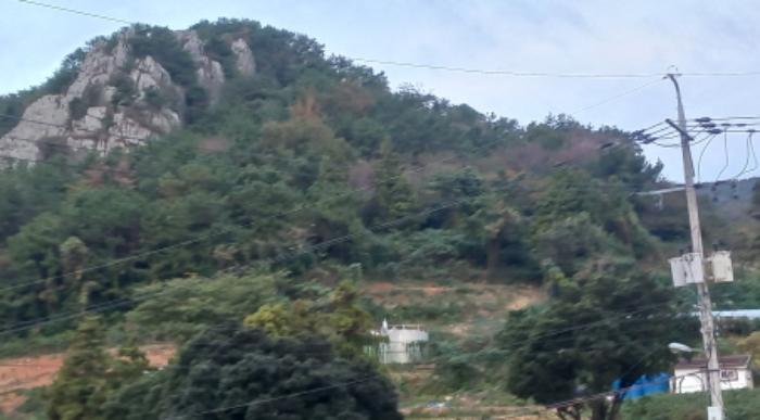 경상남도 통영시 욕지면 동항리 산104-22 임야 경매 사진 6