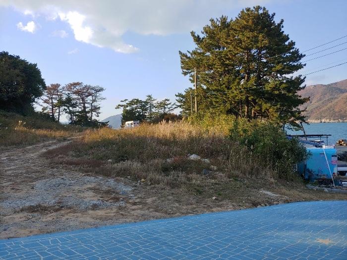 경상남도 거제시 남부면 저구리 446 잡종지 경매 사진 2