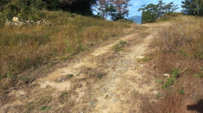 경상남도 거제시 남부면 저구리 446 잡종지 경매 사진 22