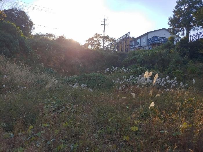 경상남도 거제시 남부면 저구리 446 잡종지 경매 사진 9