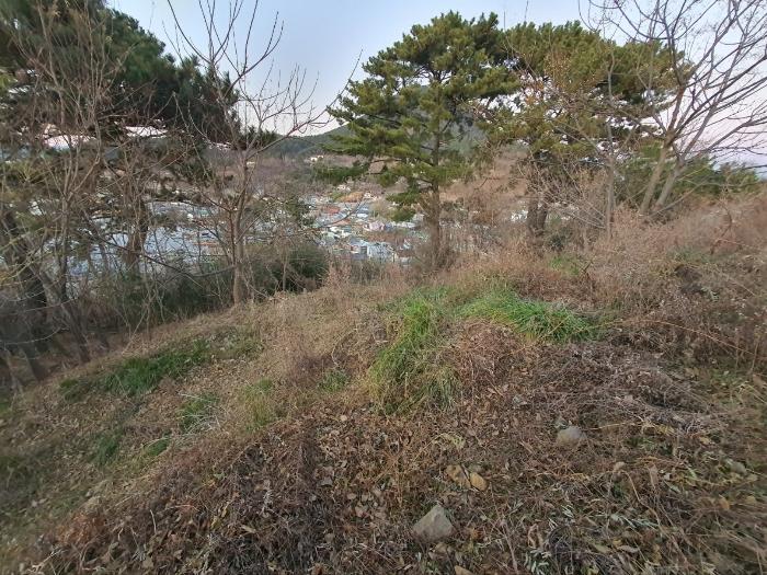 경상남도 거제시 사등면 창호리 798-6 임야 경매 사진 2