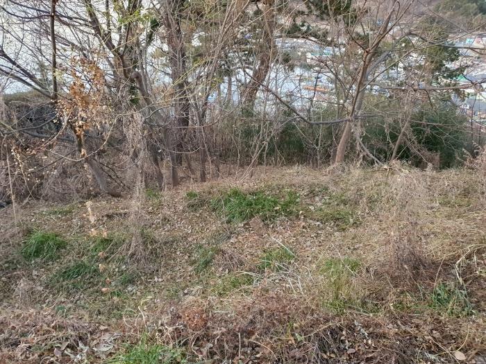 경상남도 거제시 사등면 창호리 798-6 임야 경매 사진 4