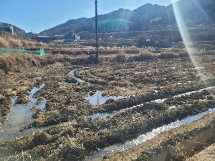 경상남도 거제시 사등면 사곡리 663-1 답 경매 사진 10
