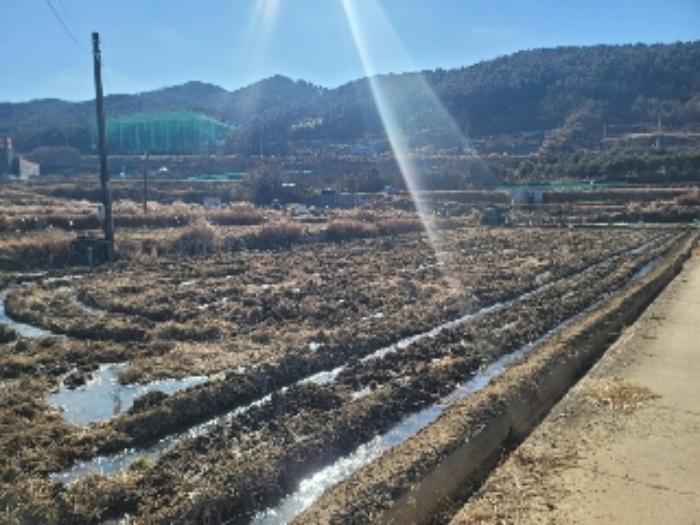 경상남도 거제시 사등면 사곡리 663-1 답 경매 사진 11