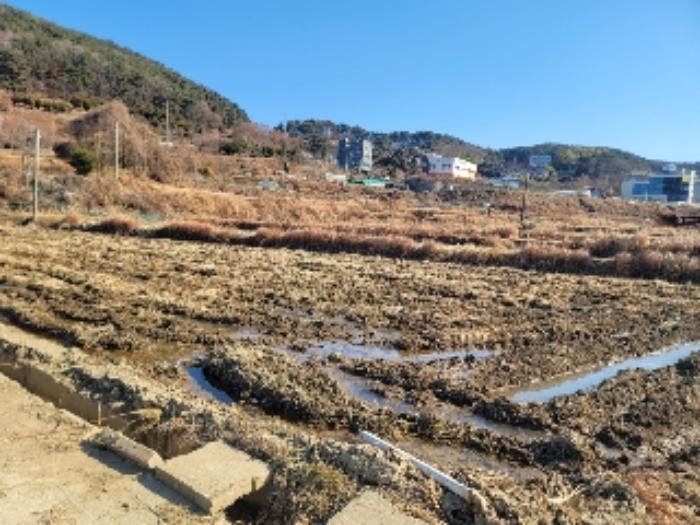 경상남도 거제시 사등면 사곡리 663-1 답 경매 사진 12