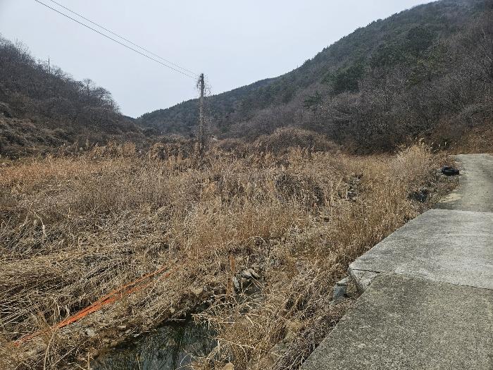 경상남도 고성군 동해면 장좌리 809 답 경매 사진 3