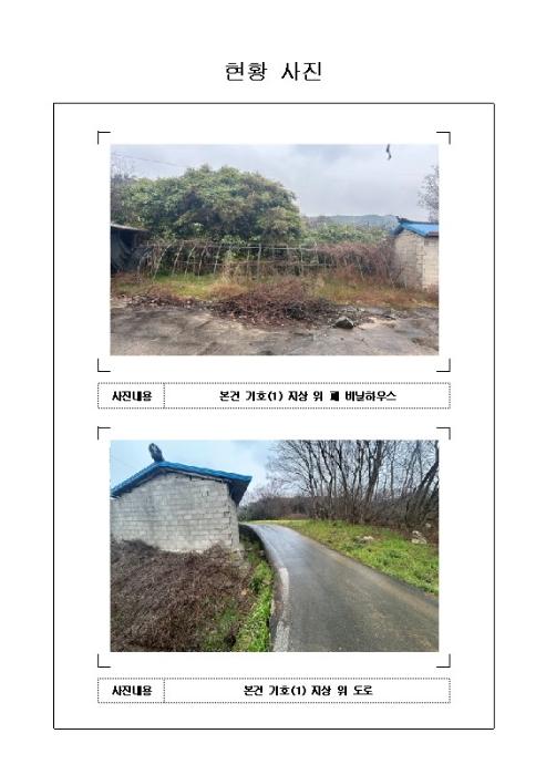 전라남도 무안군 일로읍 망월리 77 답 경매 사진 10