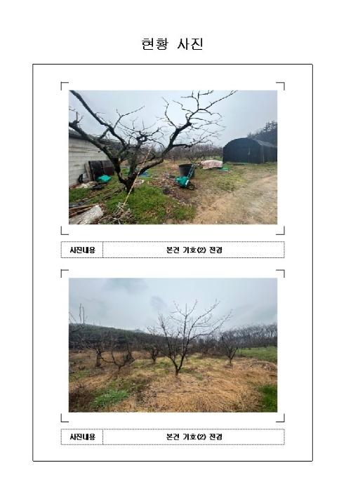 전라남도 무안군 일로읍 망월리 77 답 경매 사진 11