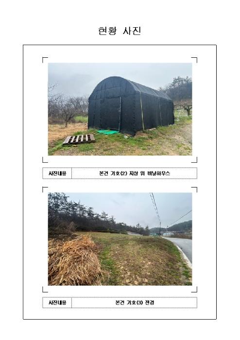 전라남도 무안군 일로읍 망월리 77 답 경매 사진 12