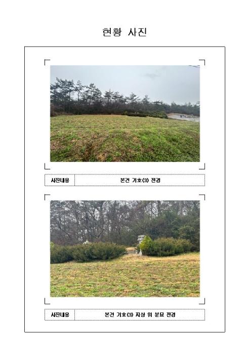 전라남도 무안군 일로읍 망월리 77 답 경매 사진 13