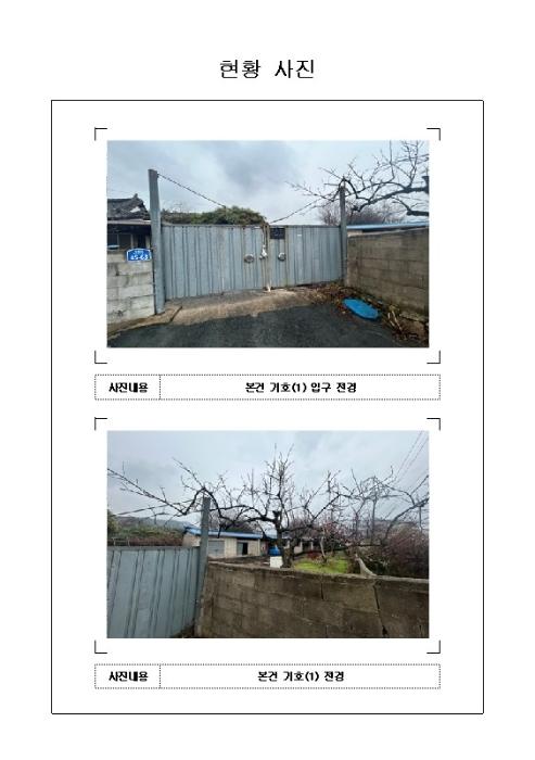 전라남도 무안군 일로읍 망월리 77 답 경매 사진 8