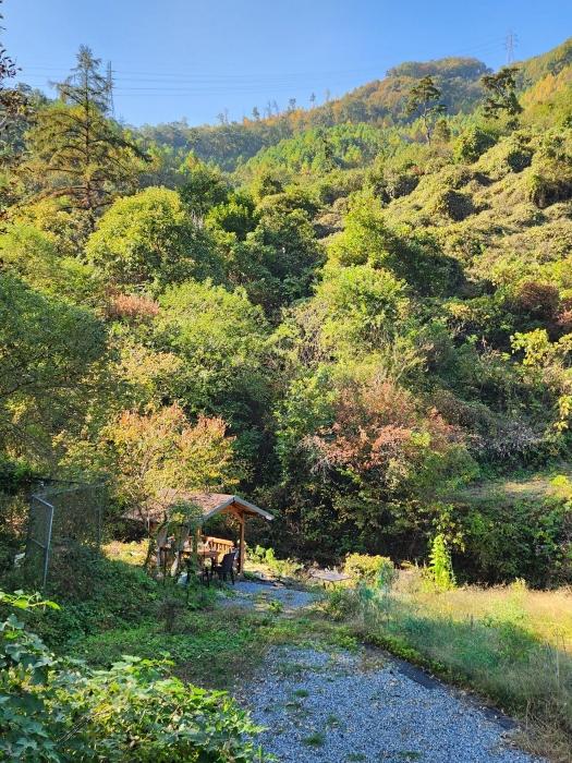충청북도 충주시 살미면 세성리 산19-3 임야 경매 사진 4
