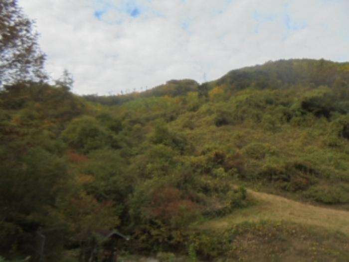충청북도 충주시 살미면 세성리 산19-3 임야 경매 사진 8