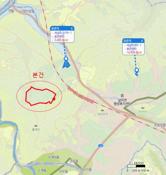 충청북도 충주시 살미면 세성리 산19-3 임야 경매 사진 9