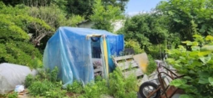 경상북도 안동시 이천동 800-2 전 경매 사진 12