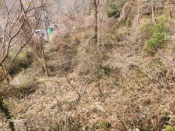 전라남도 순천시 옥천동 272 전 경매 사진 13