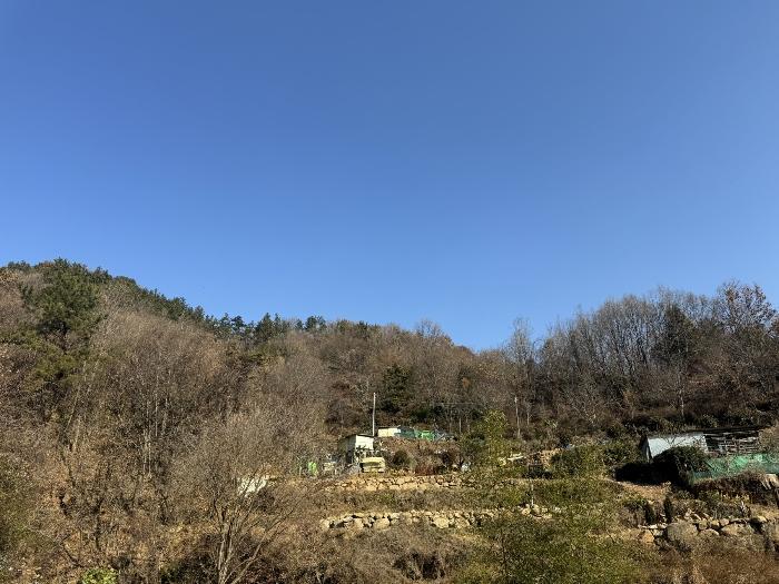 전라남도 순천시 옥천동 272 전 경매 사진 3