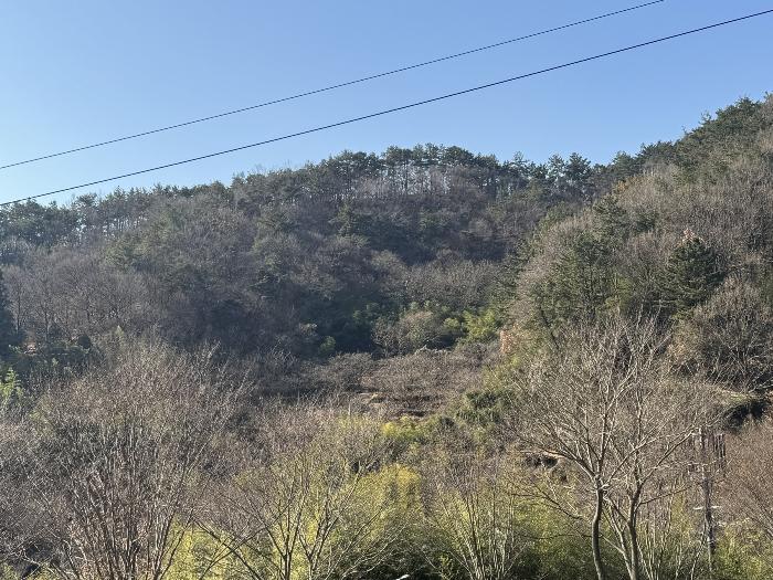 전라남도 순천시 옥천동 272 전 경매 사진 5