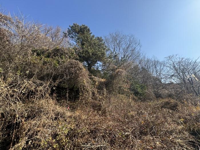전라남도 순천시 옥천동 272 전 경매 사진 6