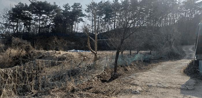 충청북도 청주시 상당구 남일면 가산리 372-1 전 경매 사진 4
