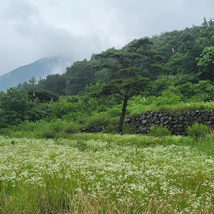 경상북도 문경시 문경읍 마원리 산64-3 임야 경매 사진 3