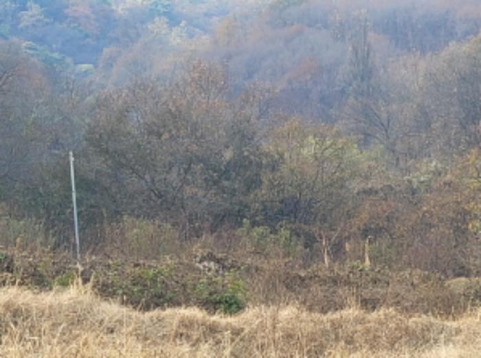 경상북도 성주군 용암면 용정리 422 답 경매 사진 8