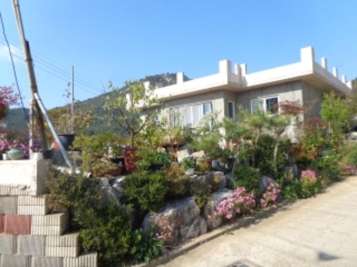 충청남도 태안군 태안읍 동문리 813-1 임야 경매 사진 30