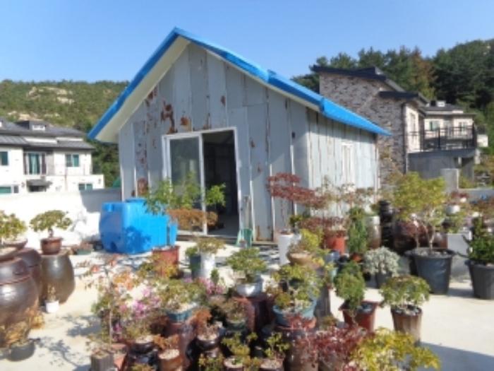 충청남도 태안군 태안읍 동문리 813-1 임야 경매 사진 35
