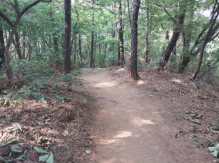 경기도 용인시 기흥구 하갈동 323-59 임야 경매 사진 9
