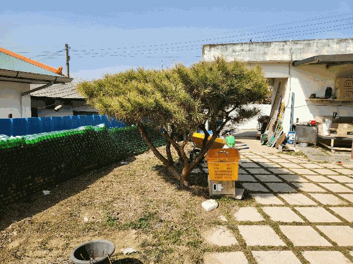 충청북도 진천군 진천읍 삼덕리 612-27 주택 경매 사진 1