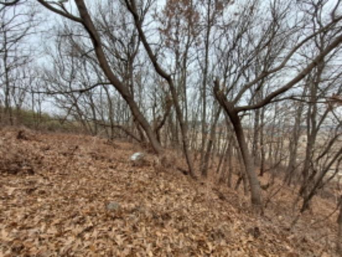 충청남도 당진시 석문면 삼화리 664-1 임야 경매 사진 16