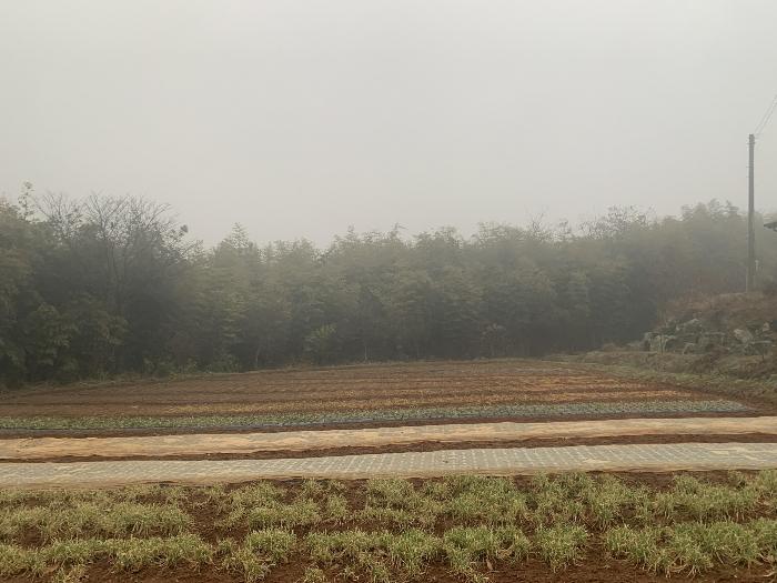 충청남도 당진시 석문면 삼화리 709-2 임야 경매 사진 10