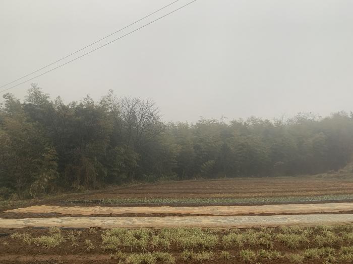 충청남도 당진시 석문면 삼화리 709-2 임야 경매 사진 3