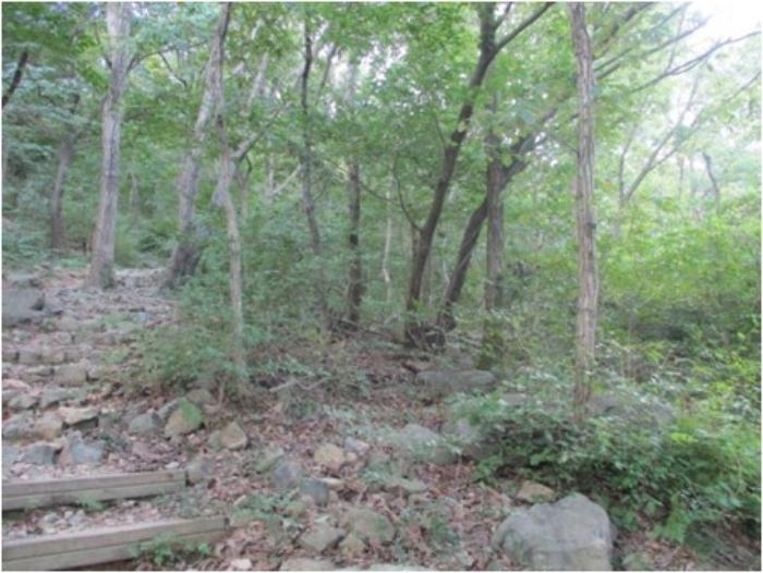 부산광역시 사상구 학장동 산141 임야 경매 사진 3