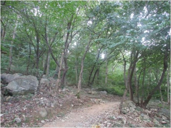 부산광역시 사상구 학장동 산141 임야 경매 사진 6