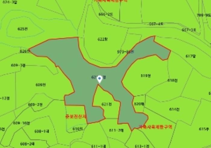 대전광역시 유성구 봉산동 621-1 전 경매 사진 18
