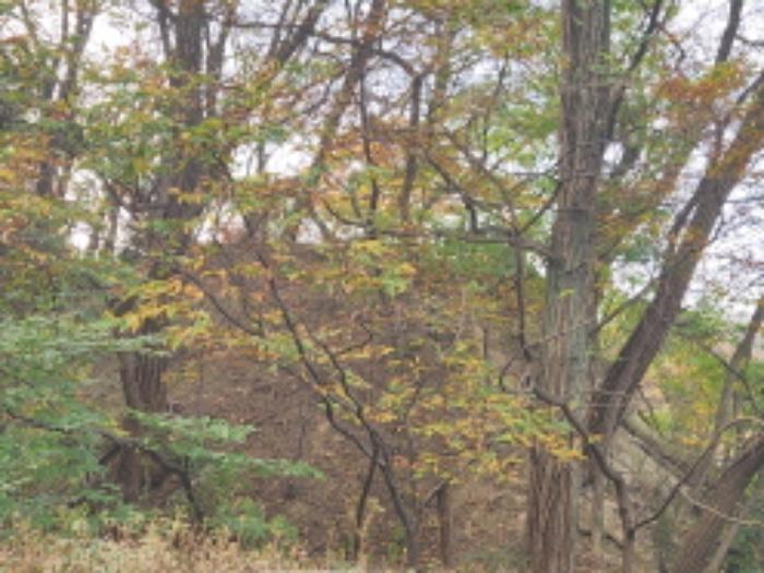 대전광역시 유성구 봉산동 621-1 전 경매 사진 7