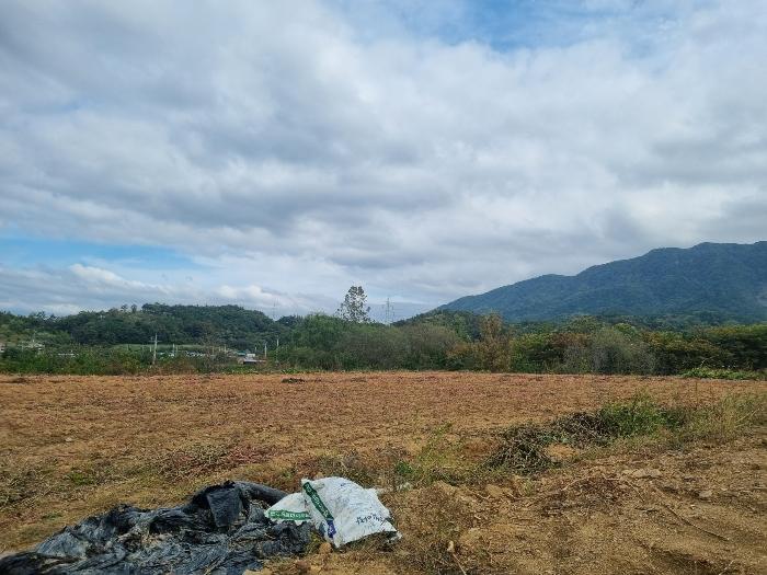 경상북도 영천시 북안면 용계리 501 전 경매 사진 4